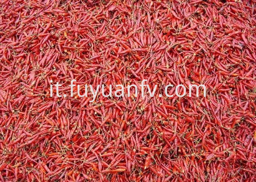 Chaotian Red Chili